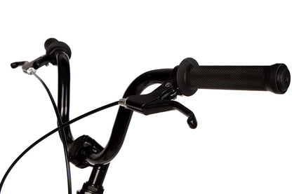 STRIDER 20X BALANCE BIKE